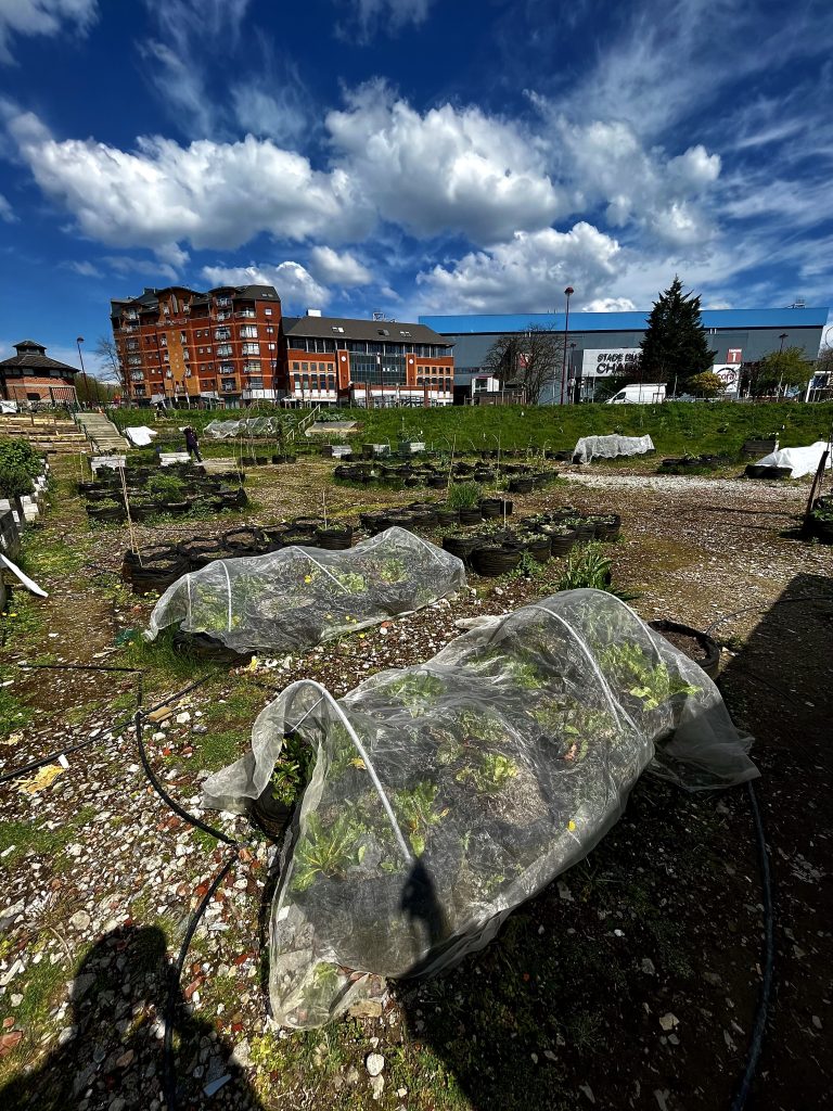 Qu’est-ce que l’agriculture urbaine ?
